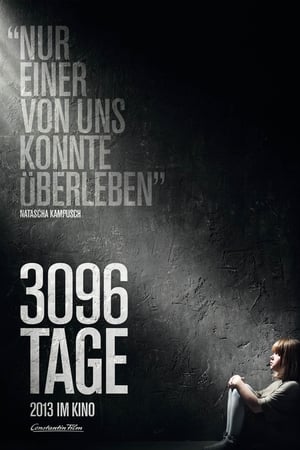 3096 días