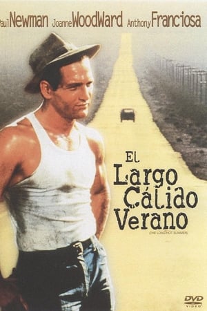 El largo y cálido verano