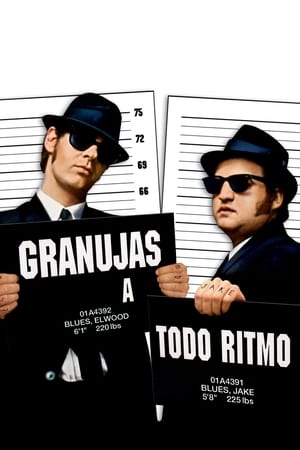 Granujas a todo ritmo (The Blues Brothers)