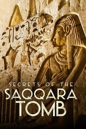 Los secretos de la tumba de Saqqara