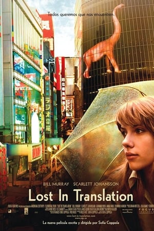 Lost in Translation