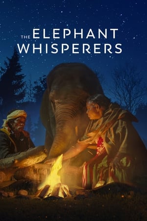 Nuestro bebé elefante