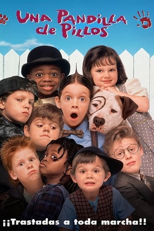 Una pandilla de pillos