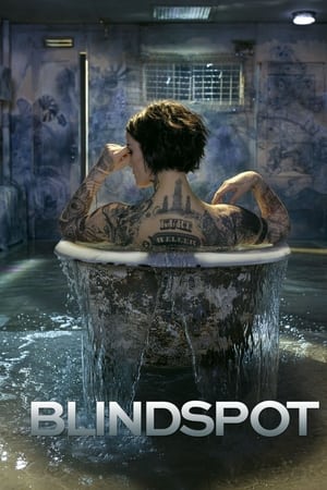 Blindspot